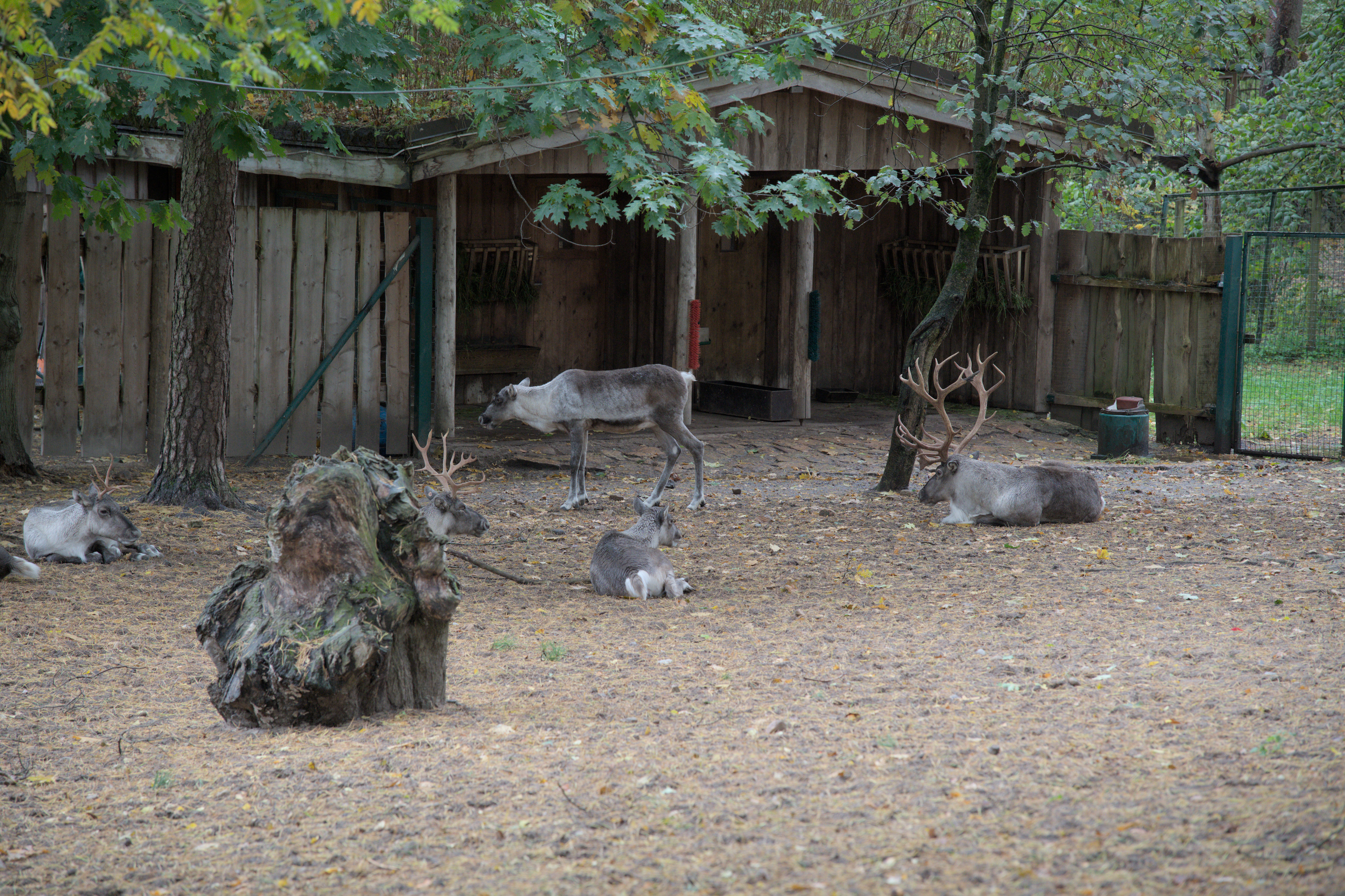 2025/10/12 - zoo/DSC_0063.jpg